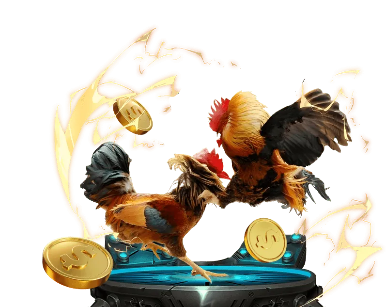 Hoàn Trả Hàng Ngày & Sự Kiện Đặc Biệt